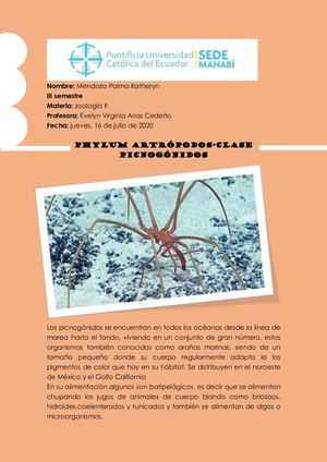 La Pycnogonida O Arañas Marinas