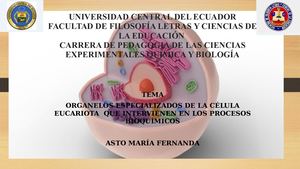 Organelos En Los Procesos Bioquimicos