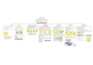 Mapa Conceptual Ciclos Termodinamicos