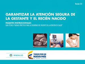 GARANTIZAR LA ATENCIÓN SEGURA DE LA GESTANTE Y EL RECIÉN NACIDO