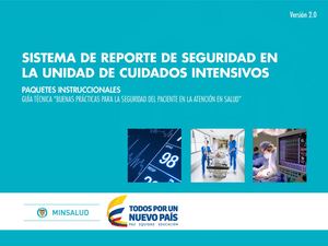 SISTEMA DE REPORTE DE SEGURIDAD EN LA UNIDAD DE CUIDADOS INTENSIVOS