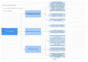 Organizador Grafico Ciclo Ericsson