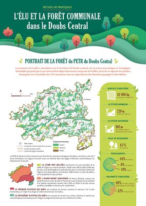 L'élu et la forêt communale dans le Doubs central