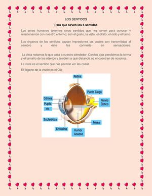 Los Sentidos Pdf