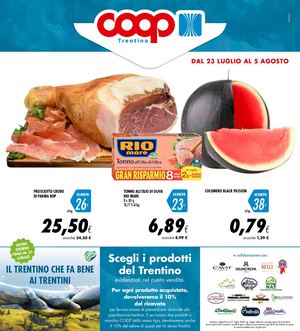 Volantino Ap 16 Can A