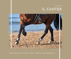Canter