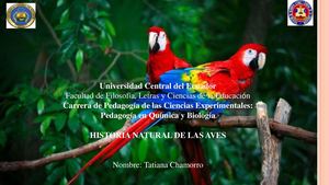 Historia Natural Aves