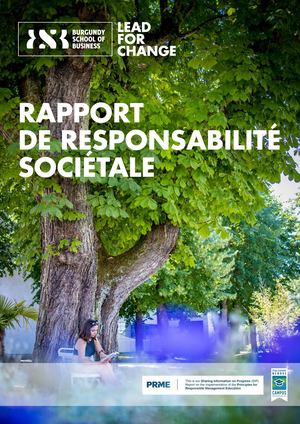 BSB-Rapport RSE-FR
