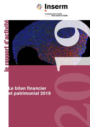 Bilan financier et patrimonial 2019