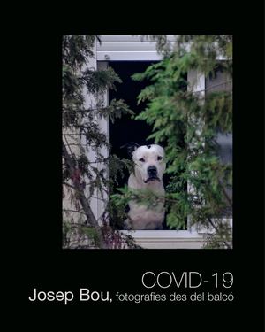 Covid 19 | Josep Bou, fotografies des del balcó