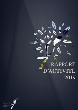 Syrec - Rapport D'activite