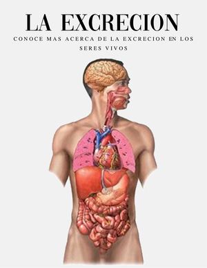 Revista Ciencias