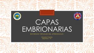 Capas Embrionarias. Gissele Coello. Séptimo "A"