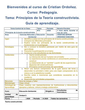 Tema 2 Principios De La Teoria Constructivista