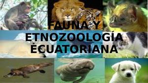 Fauna Y Etnozoología Ecuatoriana( Mamíferos)
