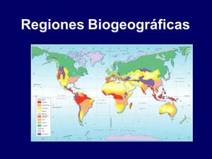 Bioregiones Del Planeta