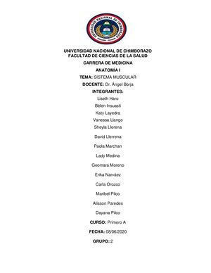 Informe De Miología