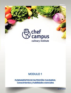 Nutricion Culinaria Modulo Todos Los Capitulos