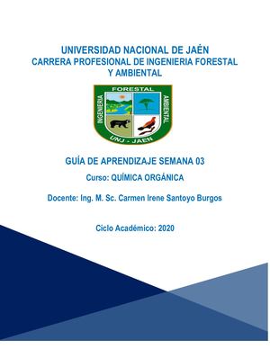 Guia De Aprendizaje Quimica Organica 03 Sem