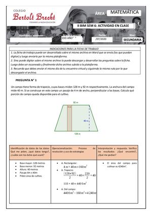 Ficha De Actividad En Clase Iibim Semana 6 2dosec