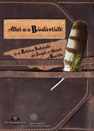 Atlas Rnn Hourtin 2020 Light