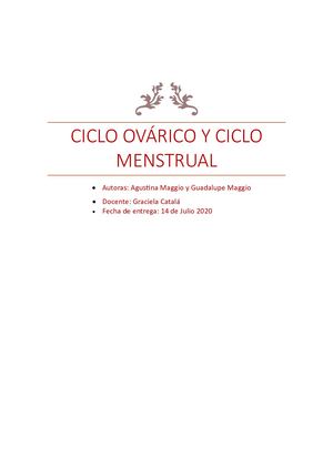 Ciclo Ovárico Y Ciclo Menstrual