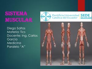 Sistema Muscular