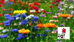 Actividad De Innovadores