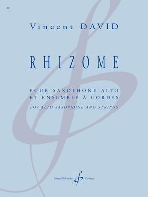 Vincent David - Rhizome