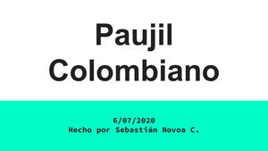 El paujil Colombiano
