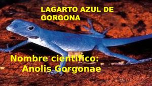 Cartilla digital del lagarto azul de gorgona