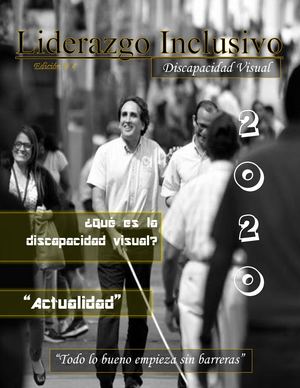 Revista, Discapacidad Visual, Edición 4