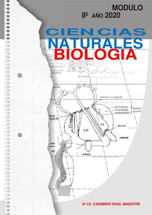 Modulo8º Año 2020 Bachillerato 2 3 4 Periodo Convertido