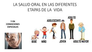 La Salud Oral En Las Diferentes Etapas De La Vida Unad