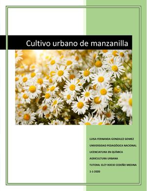 Guía Practica: Cultivo Urbano De Manzanilla