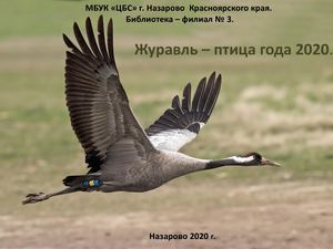 3ф Журавль птица года