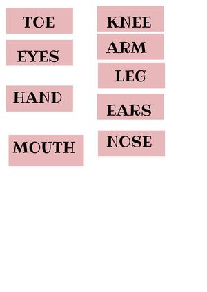 BODY PARTS LABELS