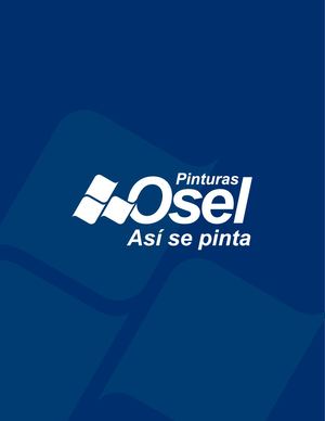 200729 Curriculum Pinturas Osel 2020 Web