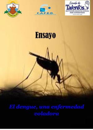 EL DENGUE