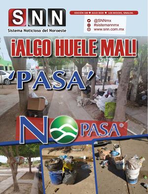 Servicio Noticioso Del Noroeste Edicion 100 Julio Del 2020