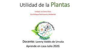 Utilidad De La Plantas