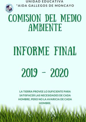 Informe Final De Comision Medio Ambiente Agm 2019 2020