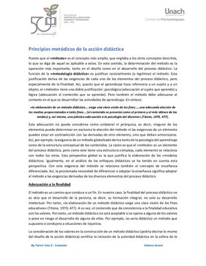 7 Principios Metódicos De La Acción Didáctica