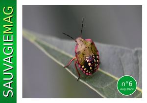 SAUVAGIEMAG N°6