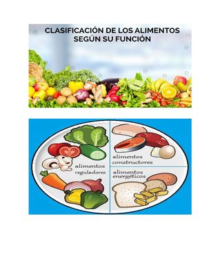 Alimentos Segun Su Funcion 2020