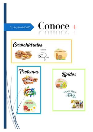 Revista De Los Carbohidratos, Proteinas Y Lipidos