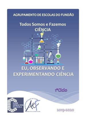 Protocolos 1º Ciclo