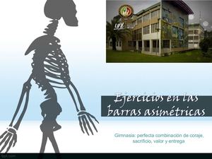 12 Barras Asimétricas