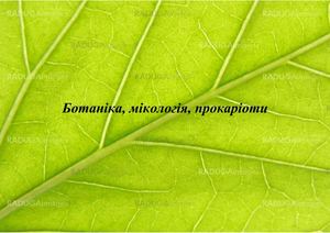 Ботаніка конспект