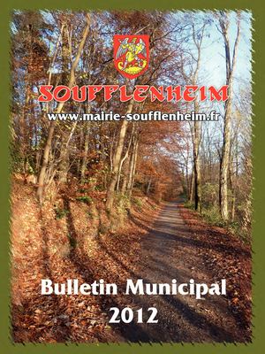 Bulletin Municipal 2012